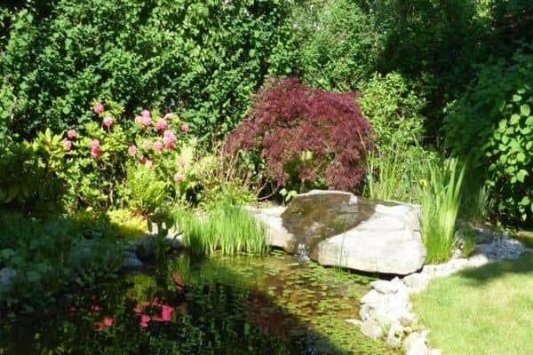 Romantischer Teich in Ihrer Gartenoase