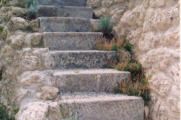 Treppen und Wege im eigenen Garten errichten